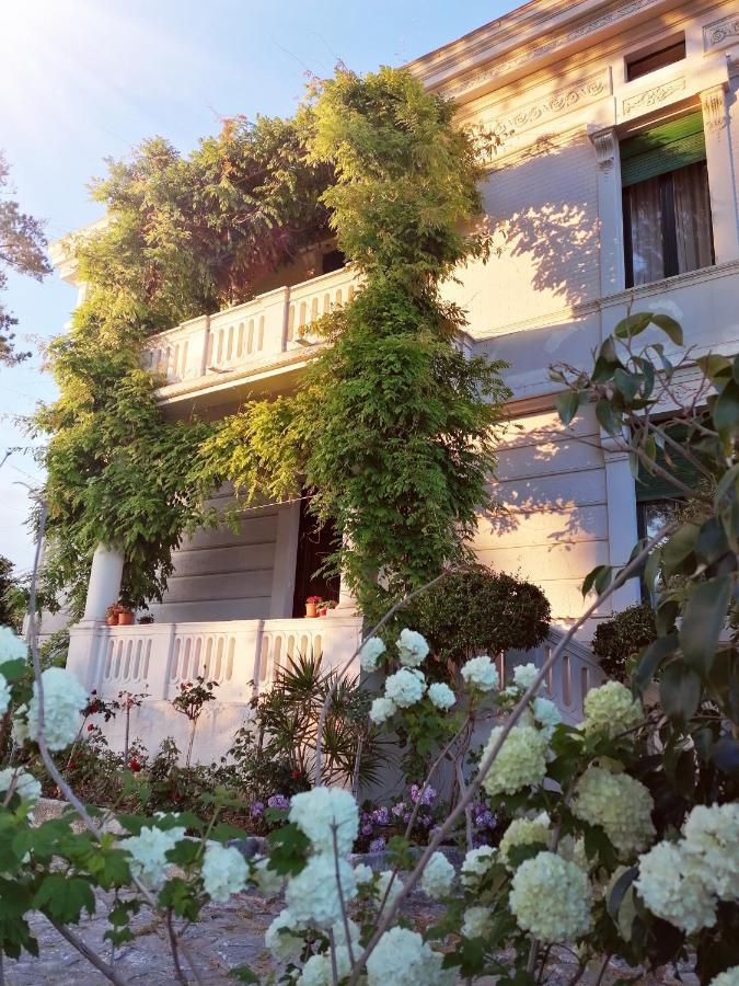 Villa Giordanelli Scalea Eksteriør billede